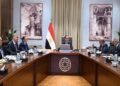 الوقود