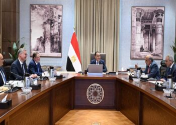 الوقود