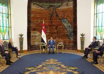 السيسي