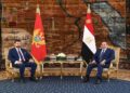 السيسي