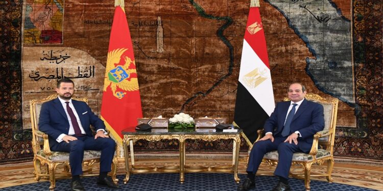 السيسي