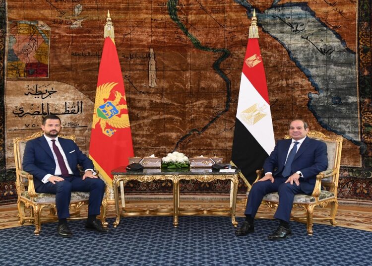 السيسي
