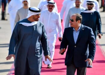 قمة مصرية إماراتية
