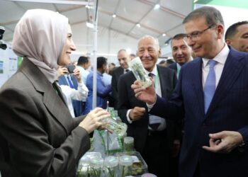 الزراعة