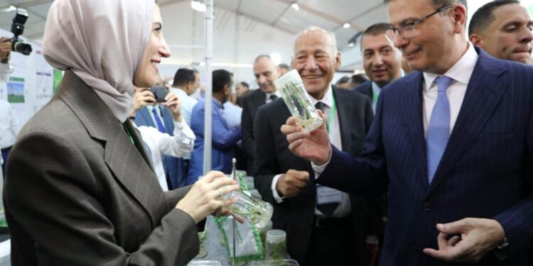 الزراعة
