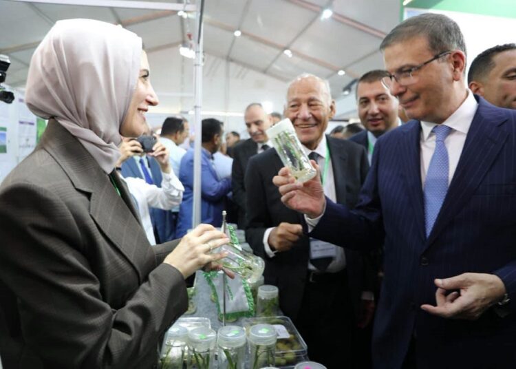 الزراعة