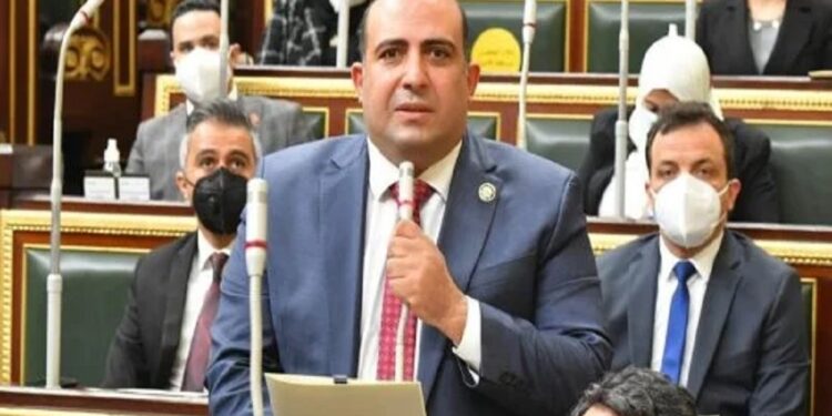 الصناعة المحلية