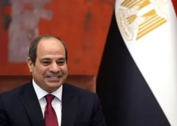الهيئات القضائية