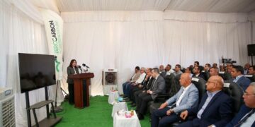 القاهرة الجديدة