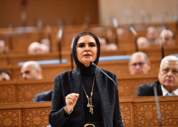 بنك الاستثمار القومي