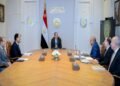 السيسي