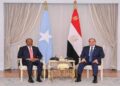 الشراكة المصرية-الصومالية